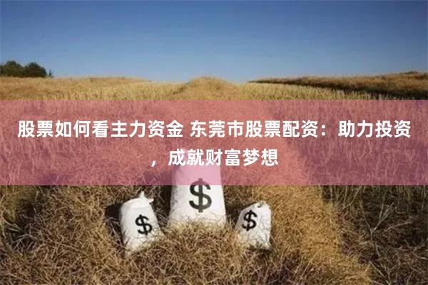 股票如何看主力资金 东莞市股票配资：助力投资，成就财富梦想