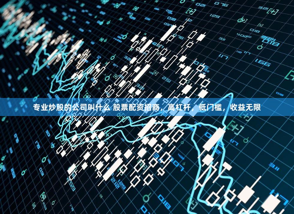 专业炒股的公司叫什么 股票配资招商，高杠杆，低门槛，收益无限